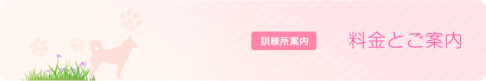 奈良　警察犬訓練所