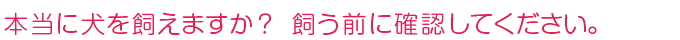 犬を飼う前に確認してください