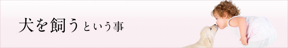 奈良　警察犬訓練所
