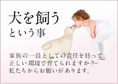 犬を飼うという事