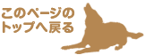 生駒警察犬訓練所|ページの先頭へ戻る