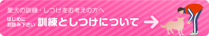 訓練としつけの違い
