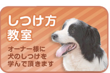 しつけ方教室