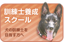 訓練士養成教室