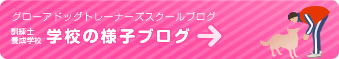 訓練士学校の様子