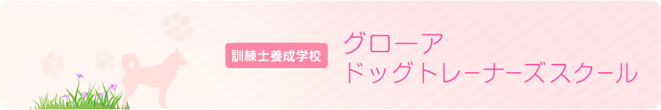 奈良　警察犬訓練所