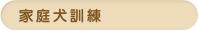 家庭犬訓練